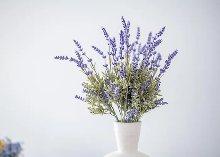 Appartement Deluxe House Kos-stad