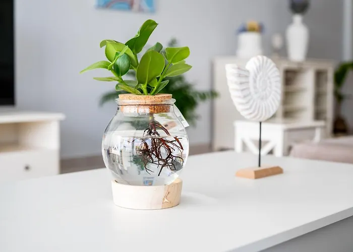 Deluxe House Appartement Kos-stad