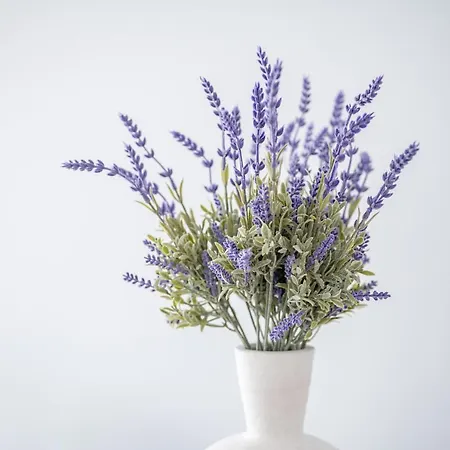 Apartment Deluxe House Kos-Stadt