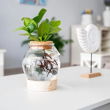 Deluxe House Apartment Kos-Stadt