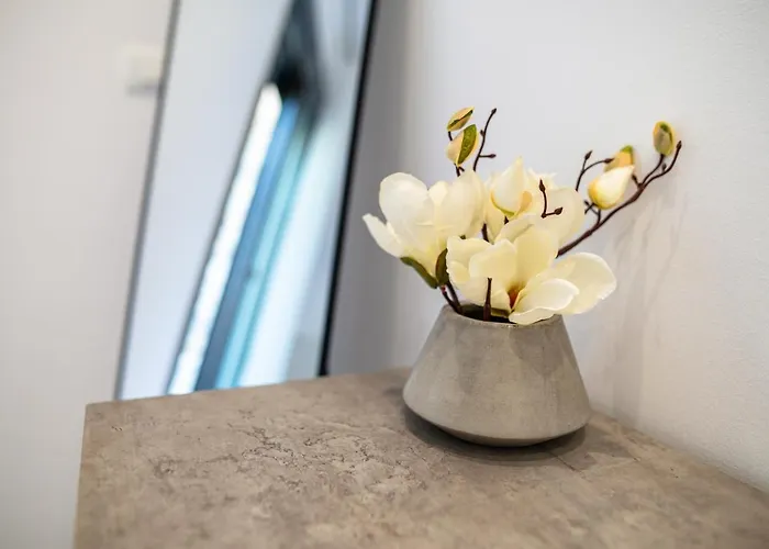 Apartamento Deluxe House *