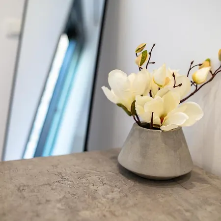 דירה Deluxe House *